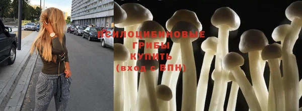 герыч Мегион