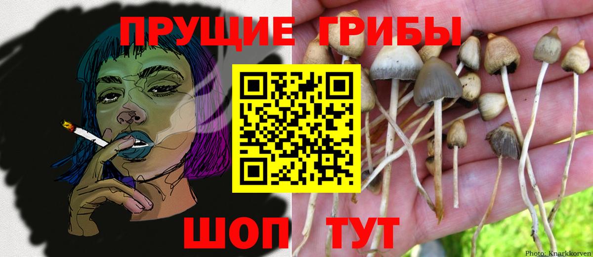 Псилоцибиновые грибы GOLDEN TEACHER Сосновоборск