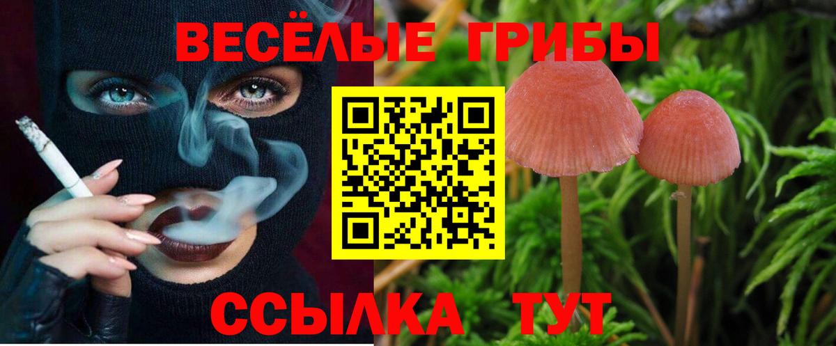 где продают   Псилоцибиновые грибы Psilocybine cubensis  Сосновоборск  Вход с VPN  Галлюциногенные грибы GOLDEN TEACHER 